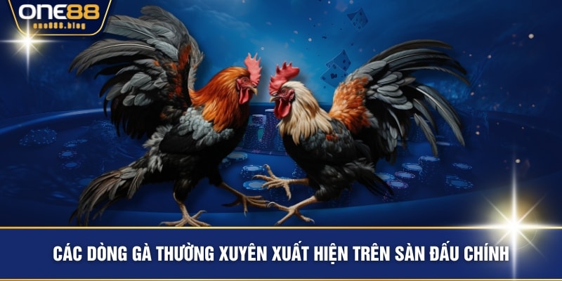 Các dòng gà thường xuyên xuất hiện trên sàn đấu chính