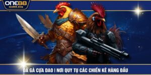 Đá Gà Cựa Dao | Nơi Quy Tụ Các Chiến Kê Hàng Đầu