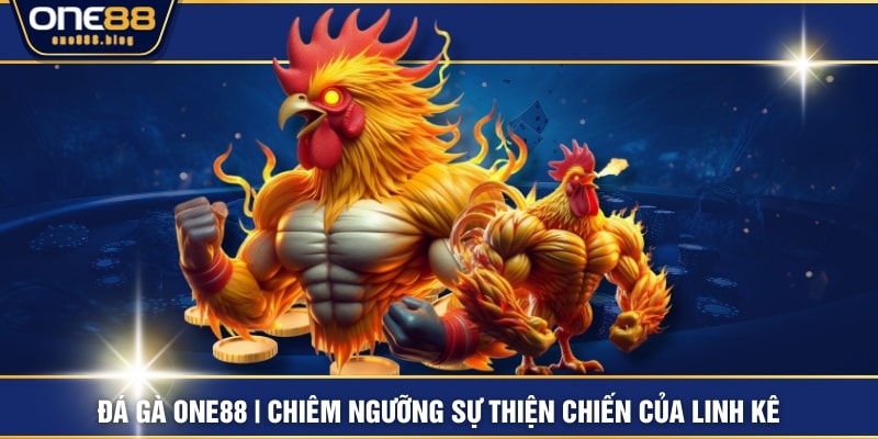 Đá Gà ONE88 | Chiêm Ngưỡng Sự Thiện Chiến Của Linh Kê